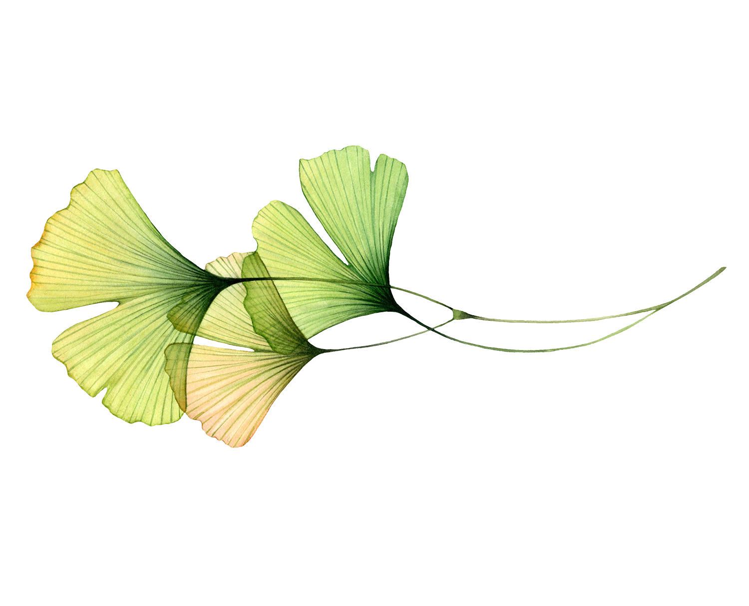 Gesundheitspraxis Unterdorf